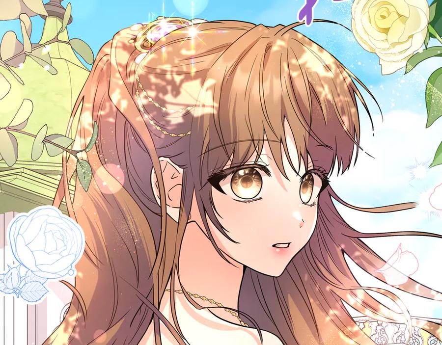 第234页