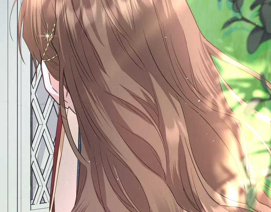 第255页