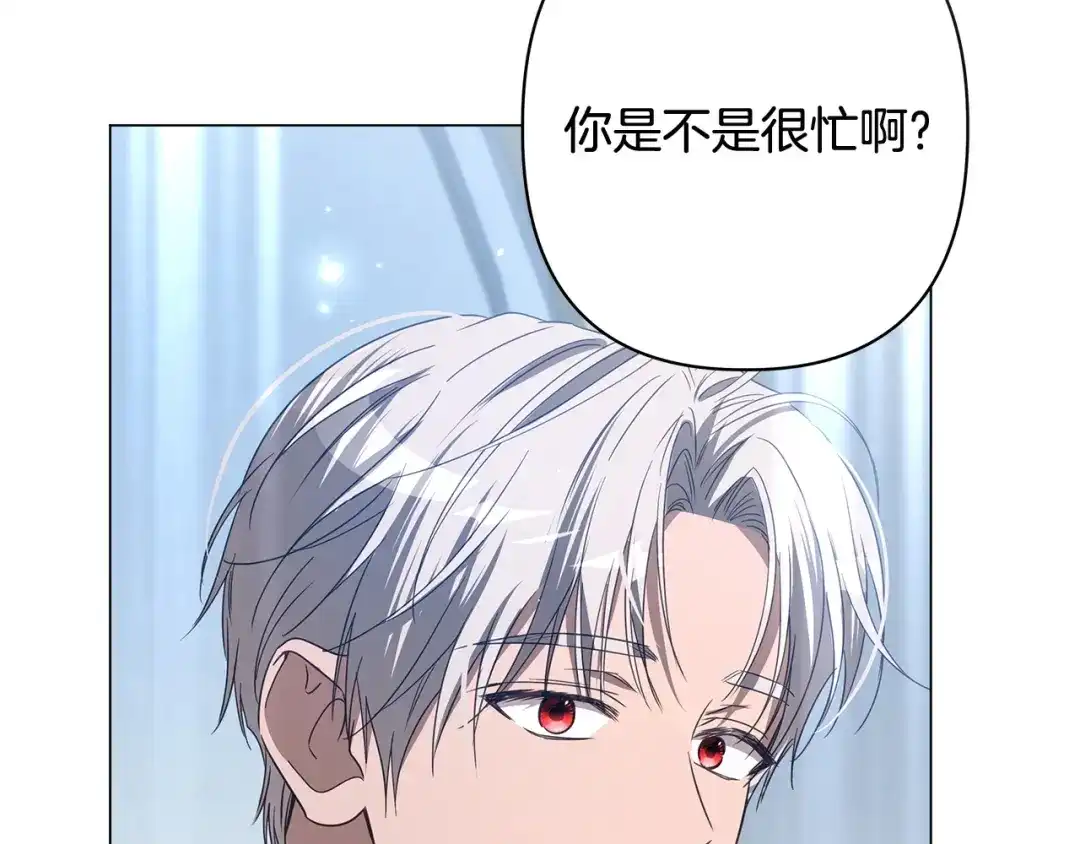 第241页