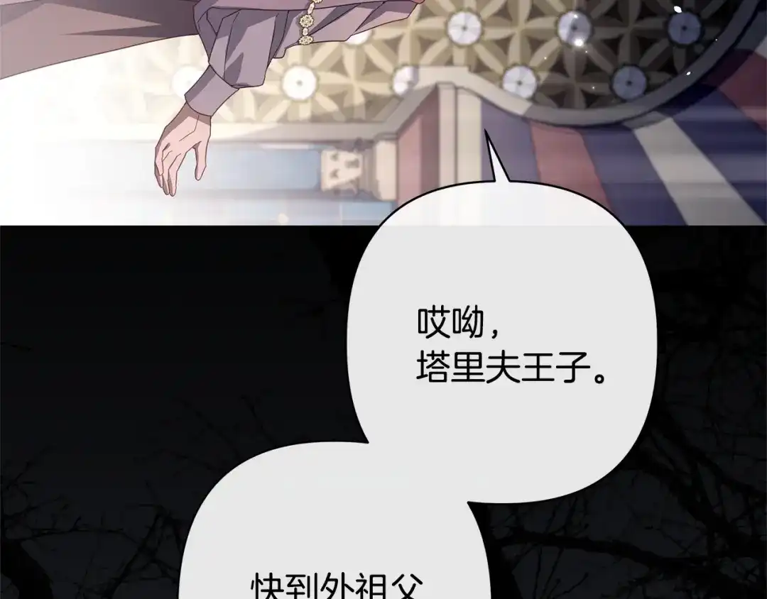 第113页
