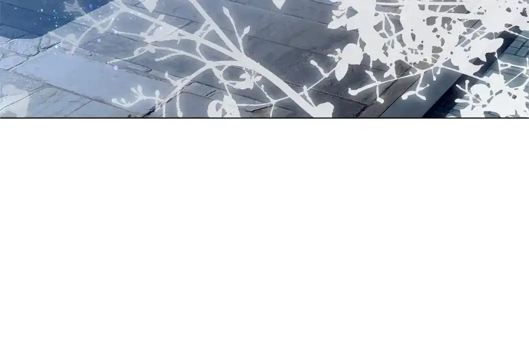第218页