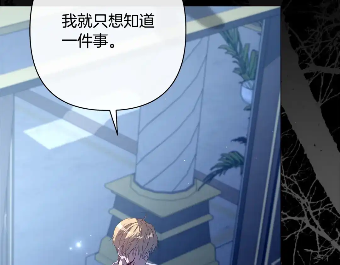 第224页