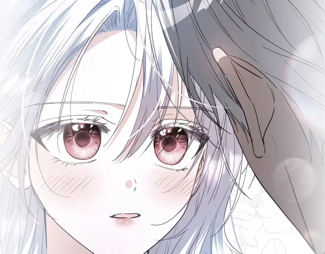 第268页