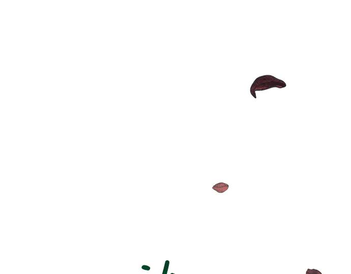 第213页