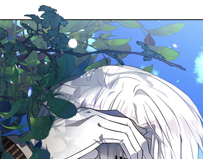 第217页