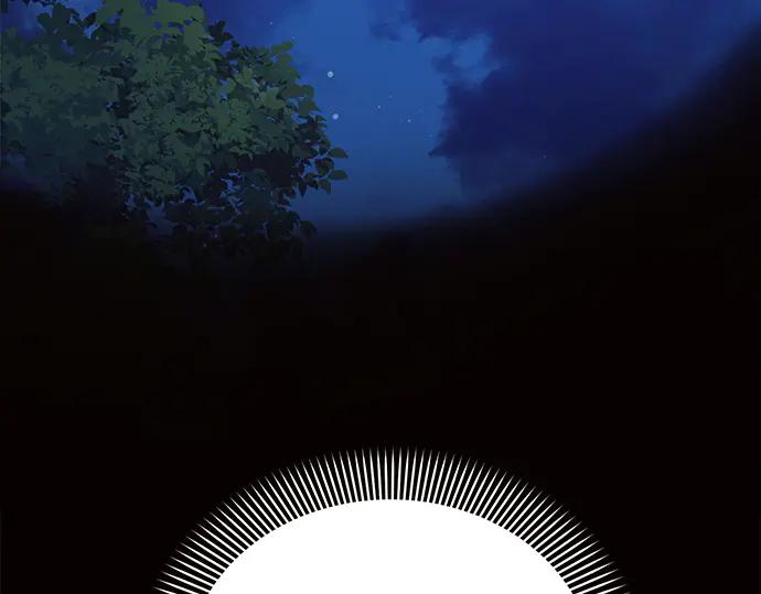 第236页
