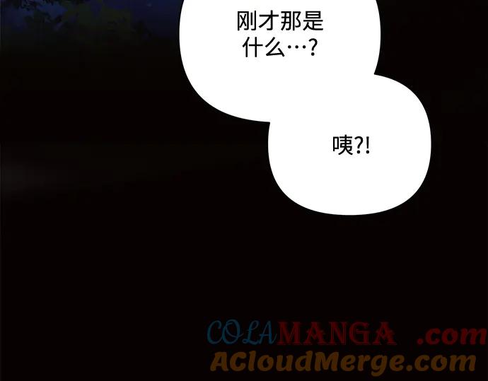 第241页