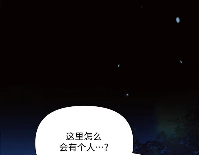 第247页