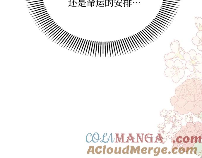第253页