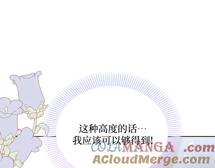 第257页