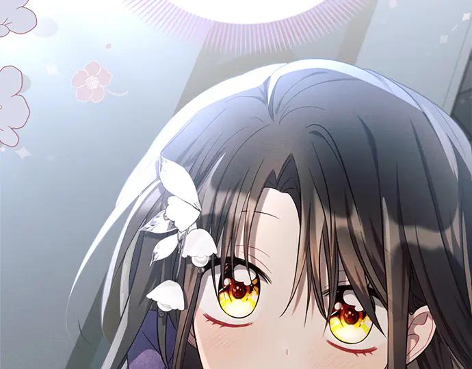 第258页