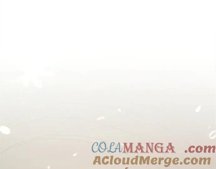 第221页