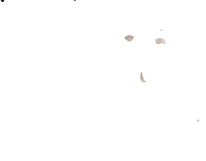 第239页
