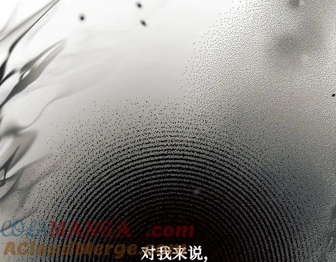 第241页