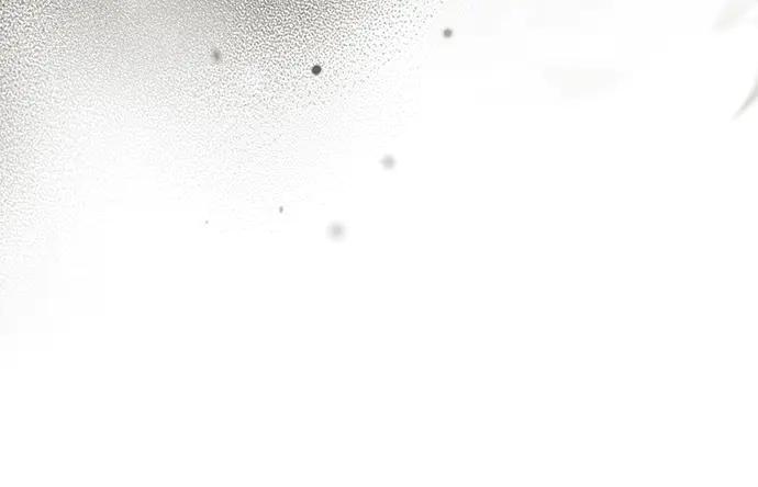 第243页
