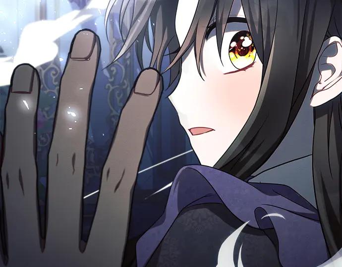 第247页