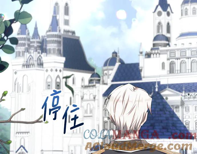 第213页
