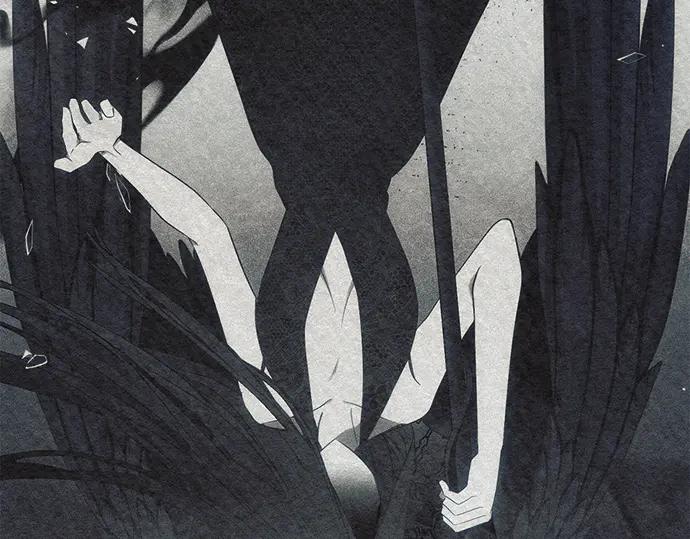 第242页