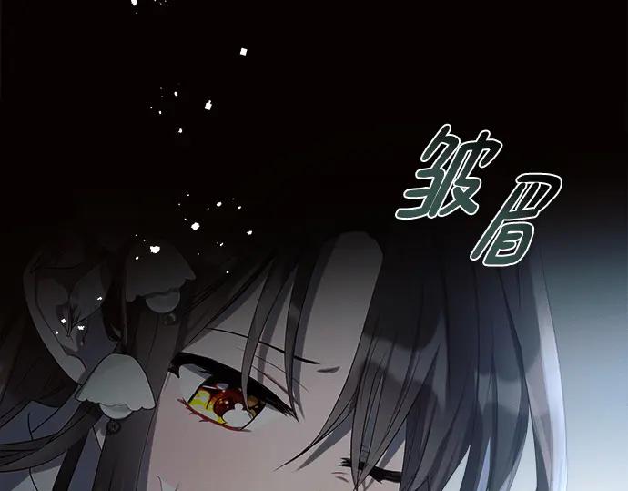 第223页