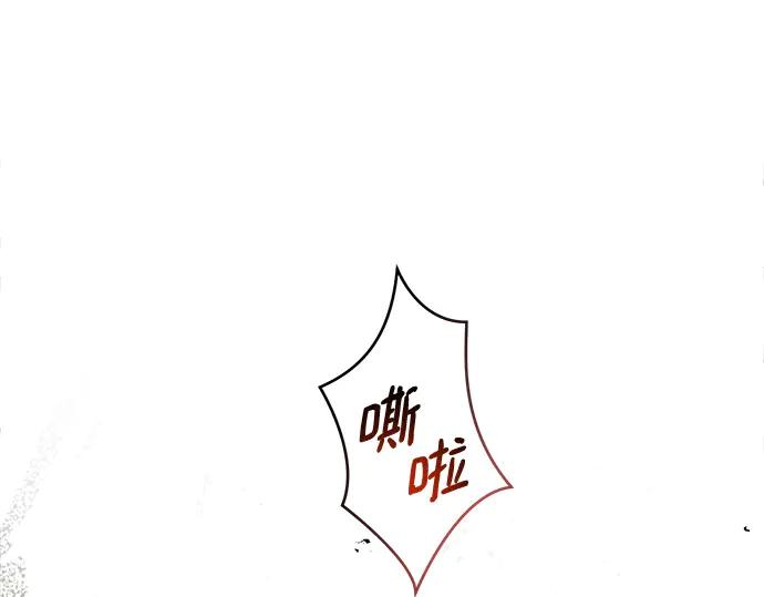第239页