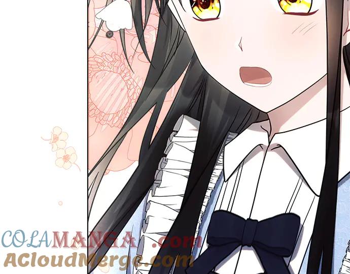 第221页