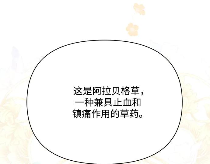 第228页