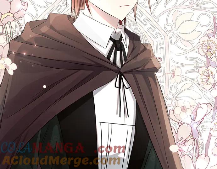第205页