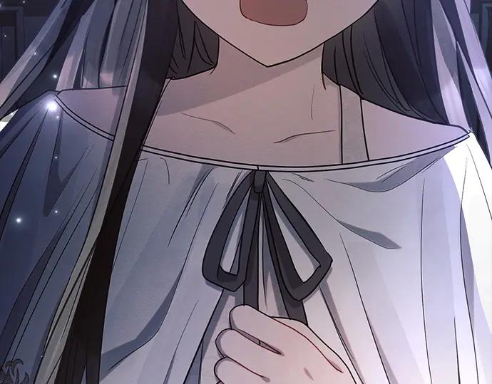 第223页