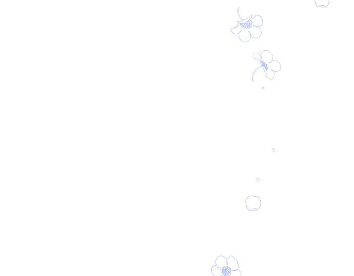 第240页
