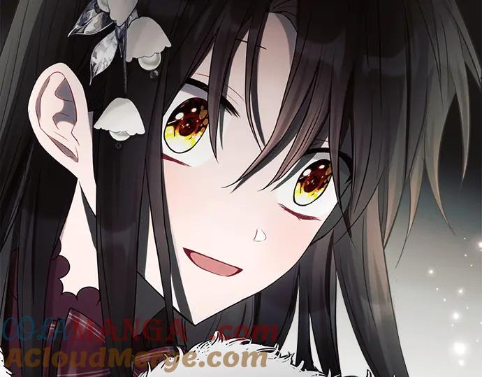 第233页