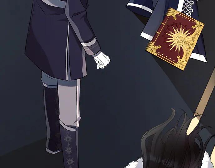 第239页