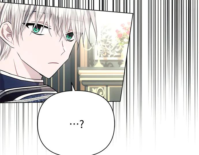 第242页