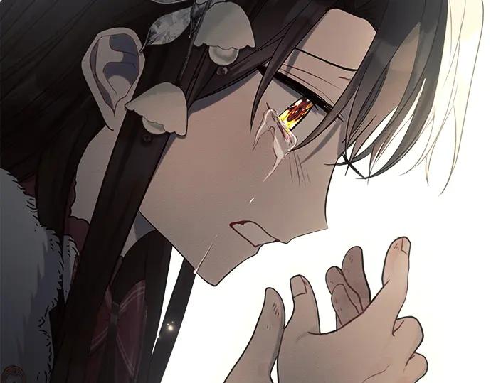 第255页