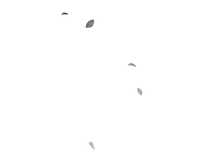 第278页