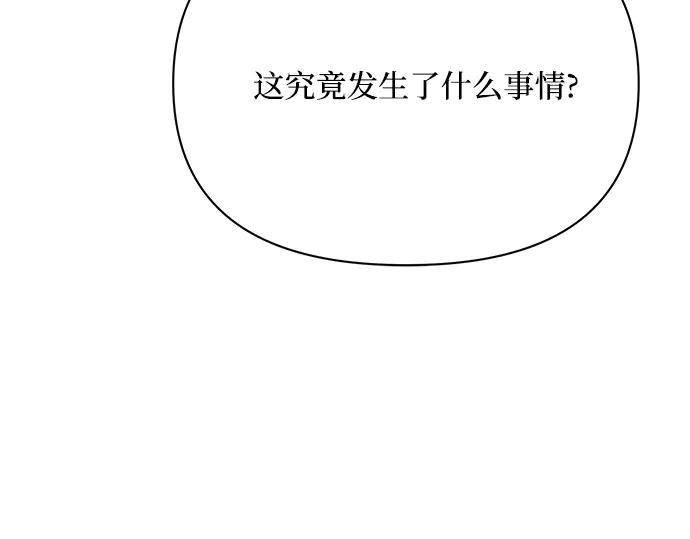 第223页