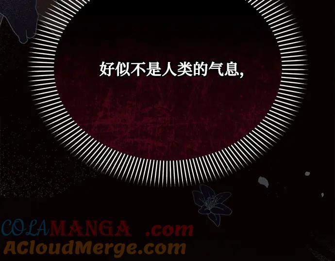 第245页