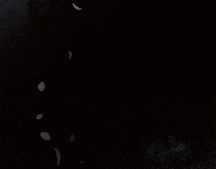 第250页