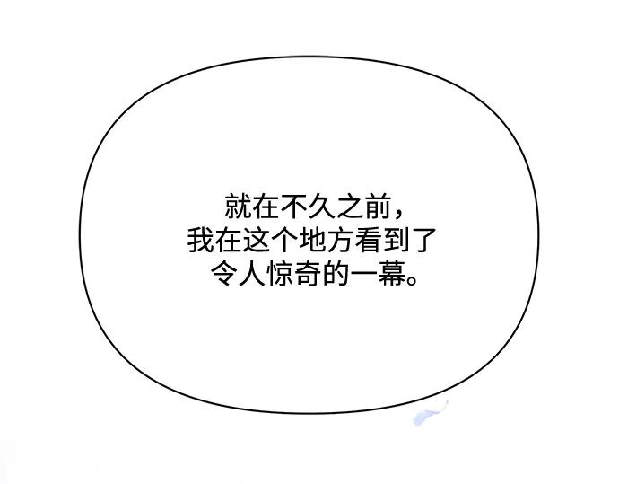 第239页