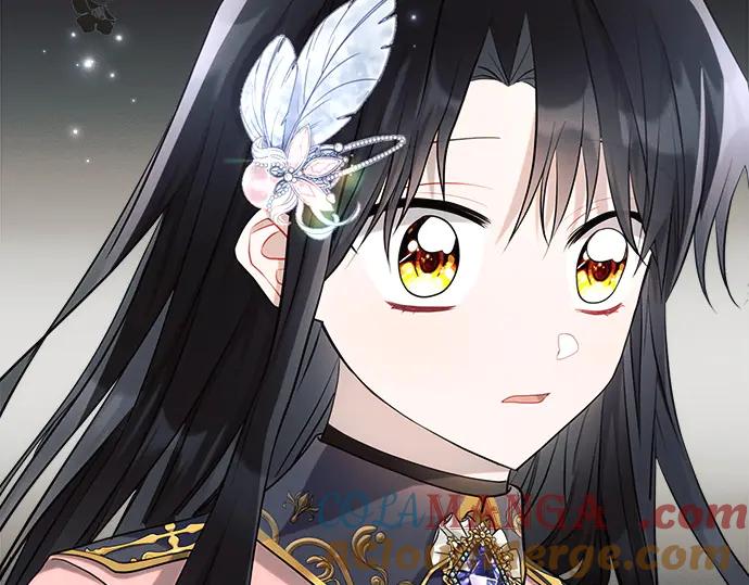 第217页