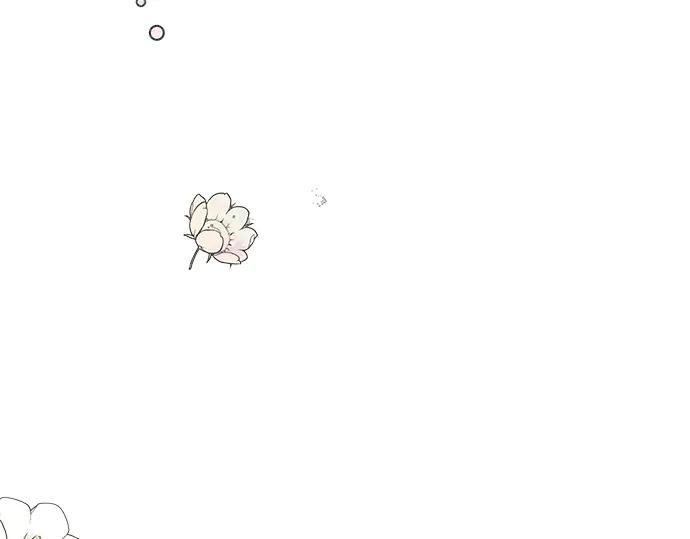 第222页