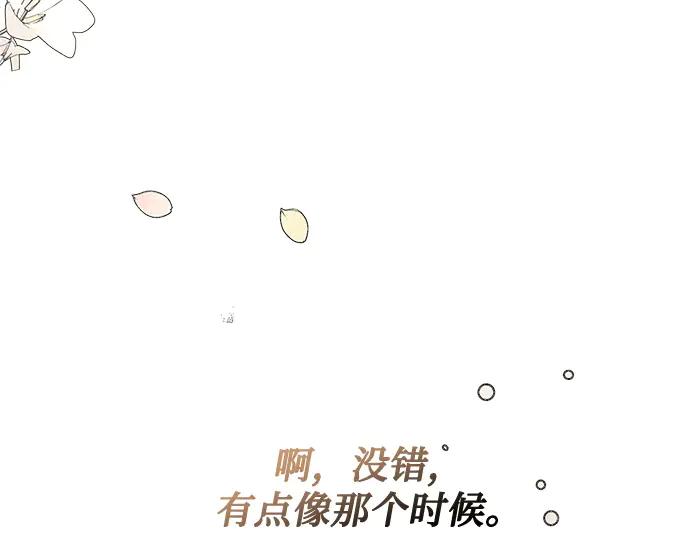 第223页