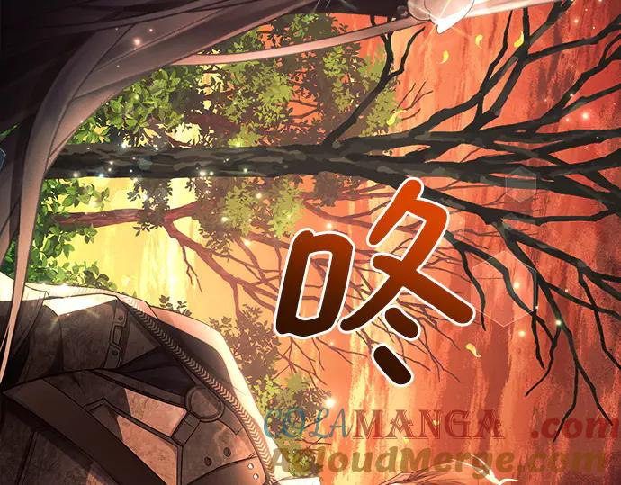 第229页