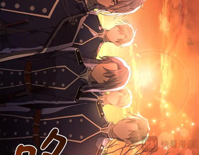第231页