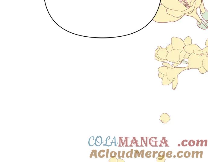 第244页