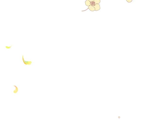 第245页