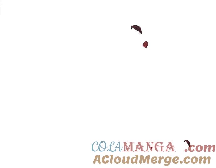 第245页