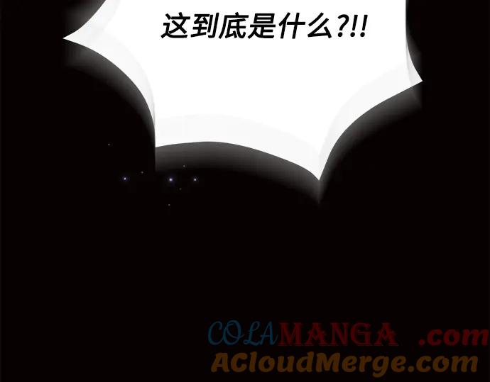 第217页