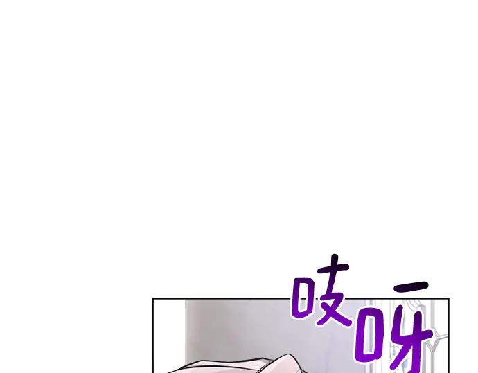 第223页