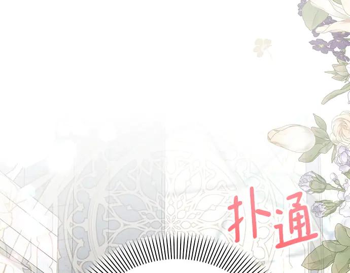 第223页