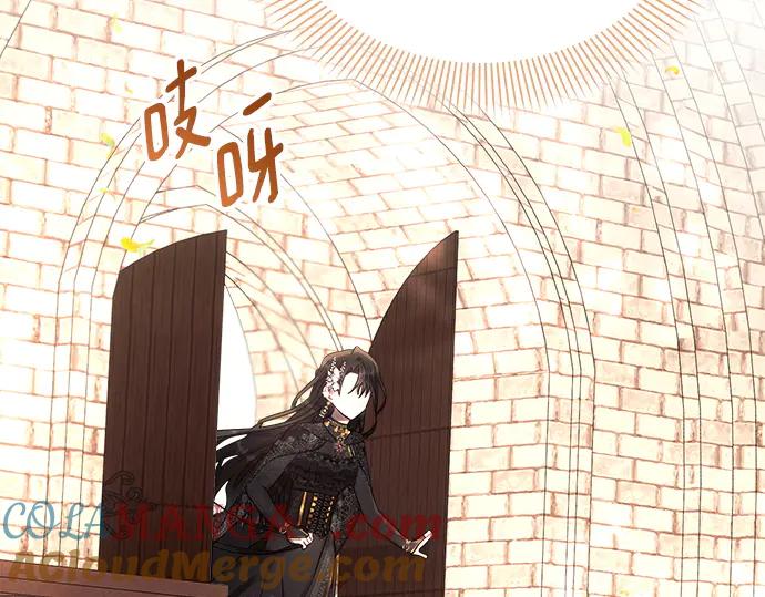 第213页